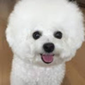 Meet your Posher, Nora